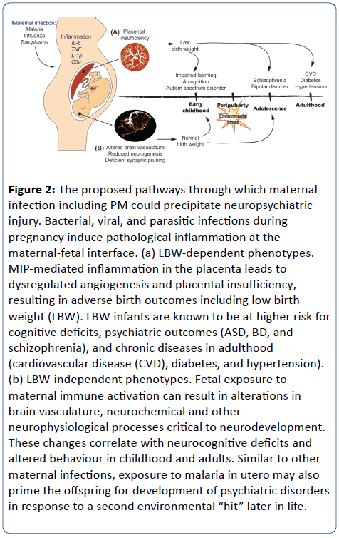 pediatric-infectious-disease-proposed-pathways